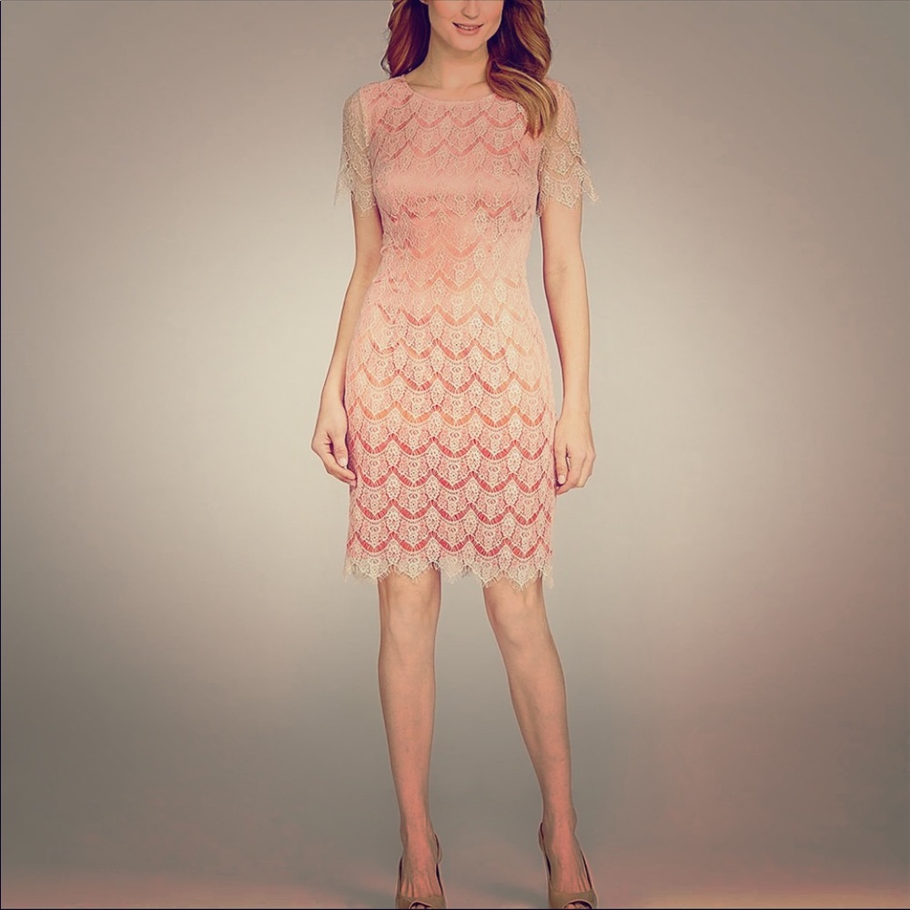 Antonio Melani lace shift ombré dress size 2